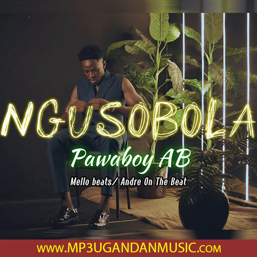 Ngusobola - Pawaboy MP3UG Music